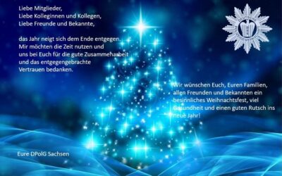 Frohe Weihnachten und einen guten Rutsch ins Jahr 2025